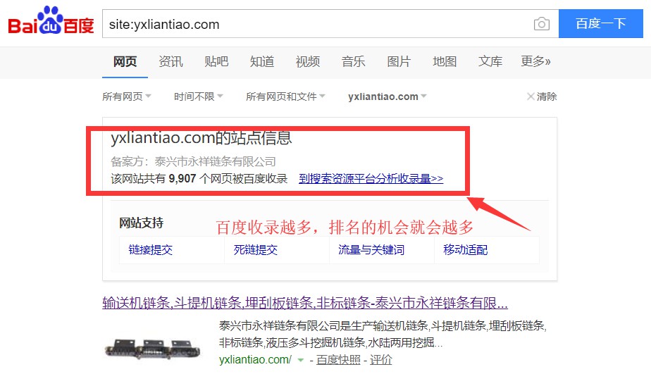 输送机链条网站优化排名排名案例